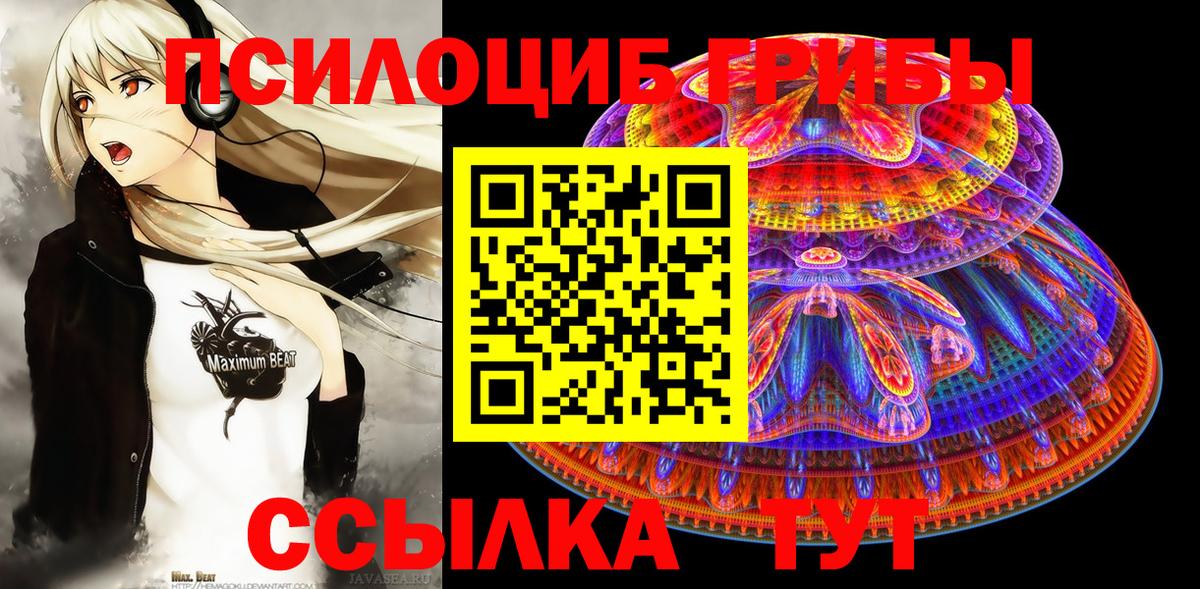 Галлюциногенные грибы мицелий Пенза