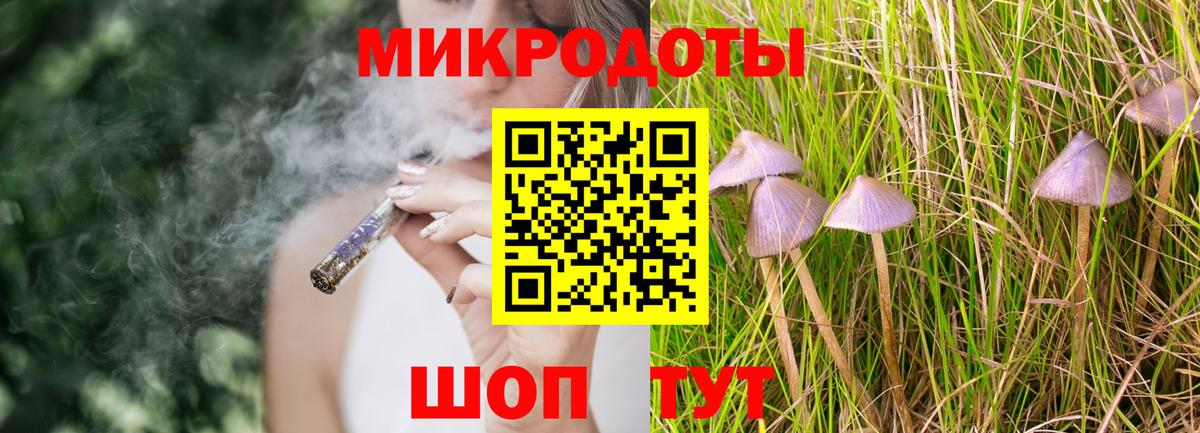 что такое наркотик  Галлюциногенные грибы прущие грибы  Вход с VPN  Пенза 